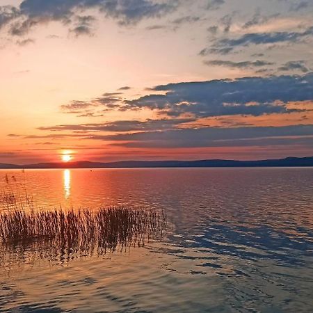 Sunshine 208 Apartman Balatonszarszo Dış mekan fotoğraf