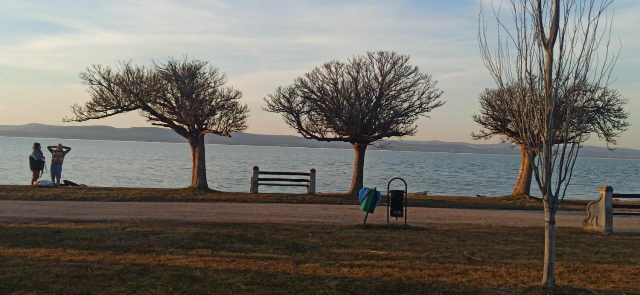 Sunshine 208 Apartman Balatonszarszo Dış mekan fotoğraf